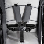 hauck Geschwisterwagen Roadster Duo SLX, Zwillingsbuggy ab Geburt bis 15 kg (ca. 3 Jahren) mit Liegefunktion, XL Korb, Einfach und Klein Zusammenklappbar, Große Räder (Grey/Silver)