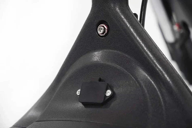 Elektro-Chopper Mangosteen M1 in Mattschwarz – 2000W Hochleistungsmotor und Stilvoll