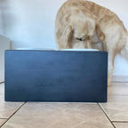 Futterstation Hund PATERA DUO
