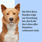 Wisdom Panel zur Feststellung von Hunderassen DNA-Test-Kit – przise Rassen-ID MDR1 Abstammung Verwandte