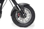 Elektro-Chopper Mangosteen M1 in Mattschwarz – 2000W Hochleistungsmotor und Stilvoll