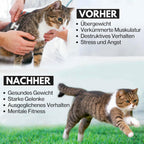 noviclass® Katzenlaufrad Baghira Groß XXL | 132cm Durchmesser Artgerecht für große Katzen | Kratzfest, stabil und leise | Gratis Spielzeug und E-Book | Geprüfte Qualität (Weiß)