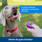 PetSafe Teach und Treat Ferngesteuerter Belohnungstrainer für Hunde, Training und Positive Verstrkung, 4 D Batterien ntig, Grau