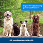 PetSafe Teach und Treat Ferngesteuerter Belohnungstrainer für Hunde, Training und Positive Verstrkung, 4 D Batterien ntig, Grau
