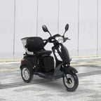 Arvo Seniorenmobil P300 Schwarz